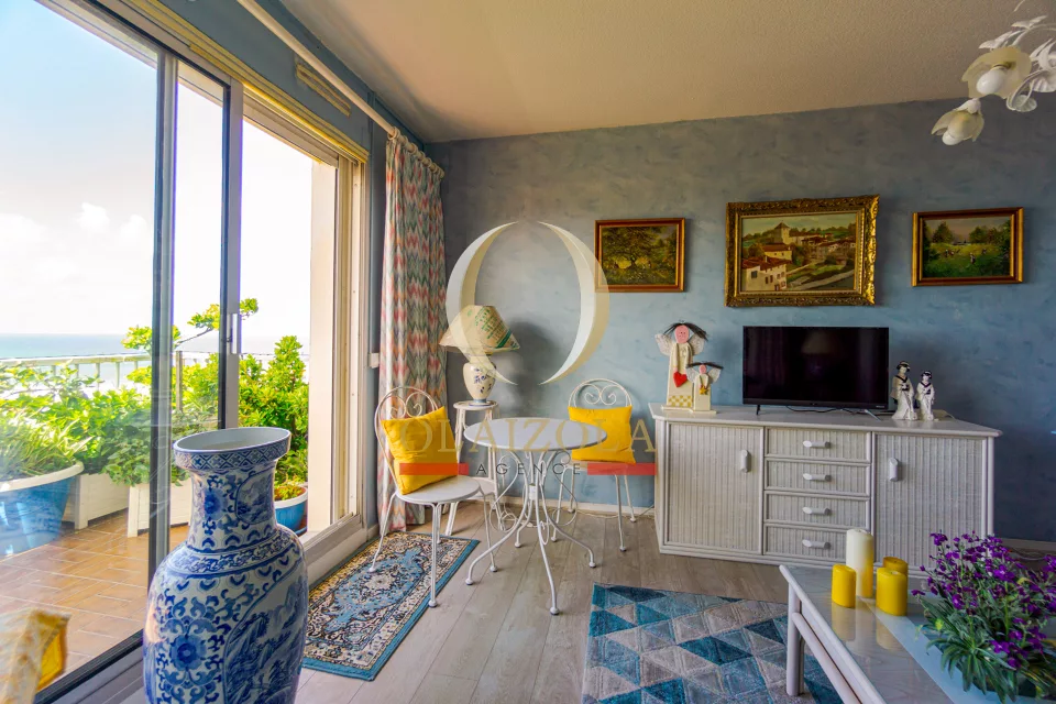 SUBLIME VUE MER EN HAUTEUR — photo 6