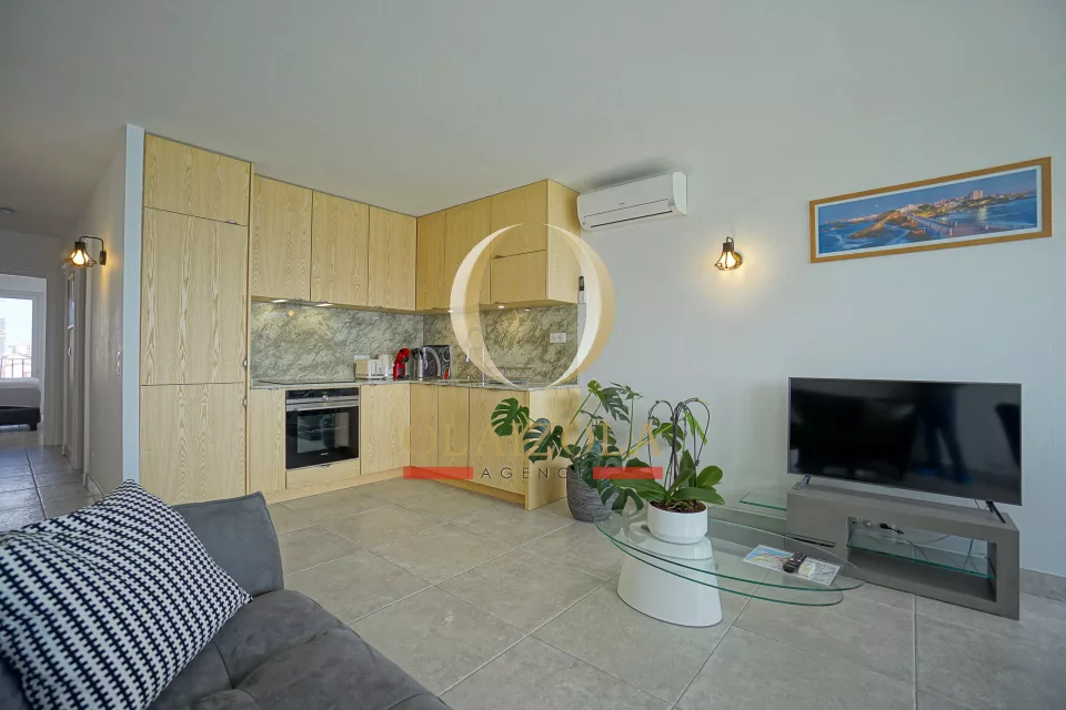 Appartement vue mer, Côte des Basques — photo 12