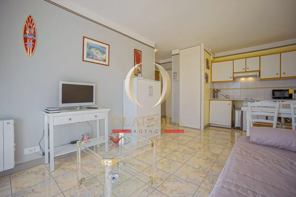 Appartement avec jardin plein sud — photo 10